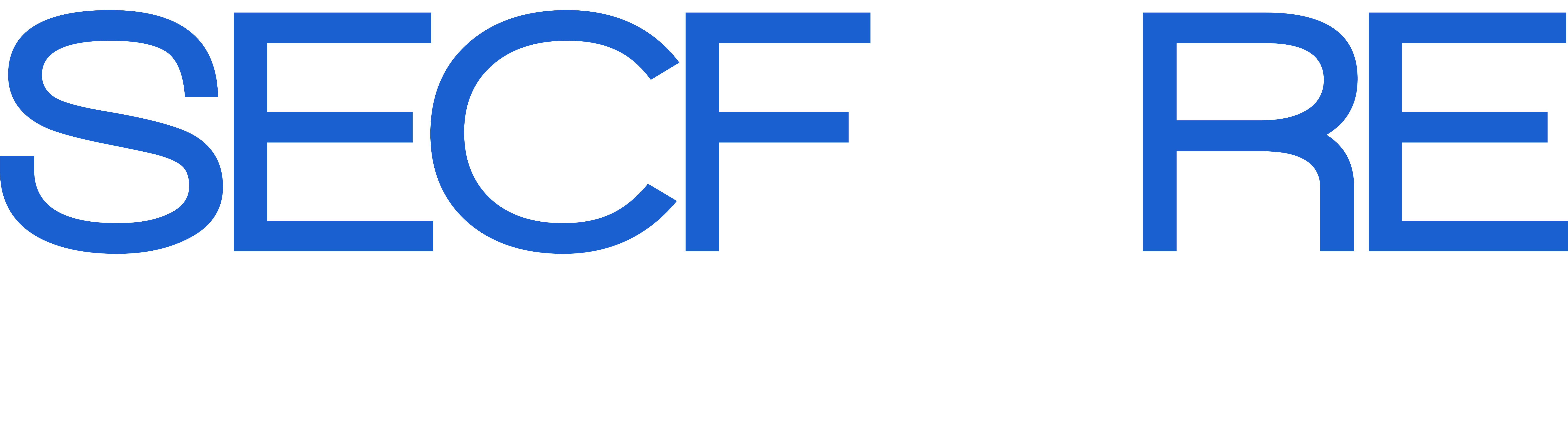 Secfore Visualizer Logo